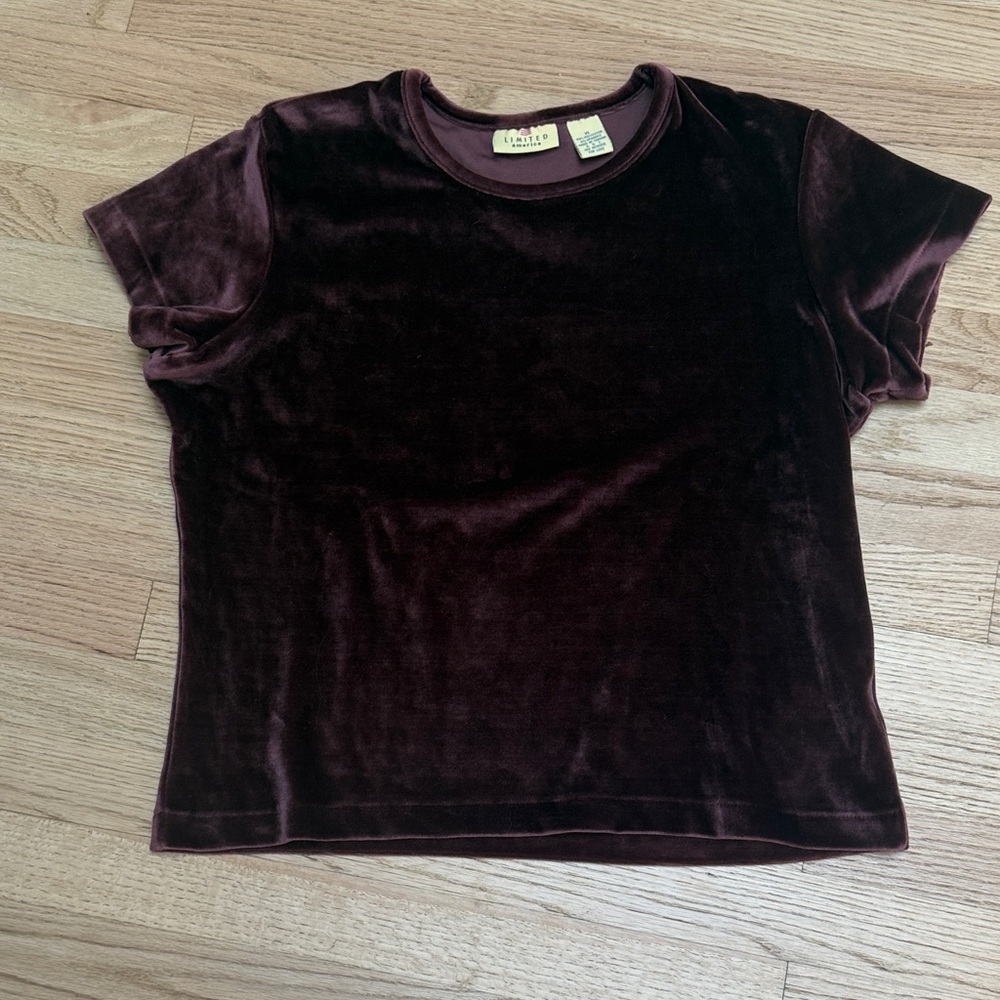 Vintage Velvet Short Sleeve Top in Deep Burgundy